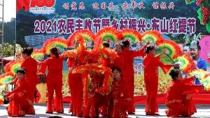 湖南绥宁县:红提销四方果农笑开颜